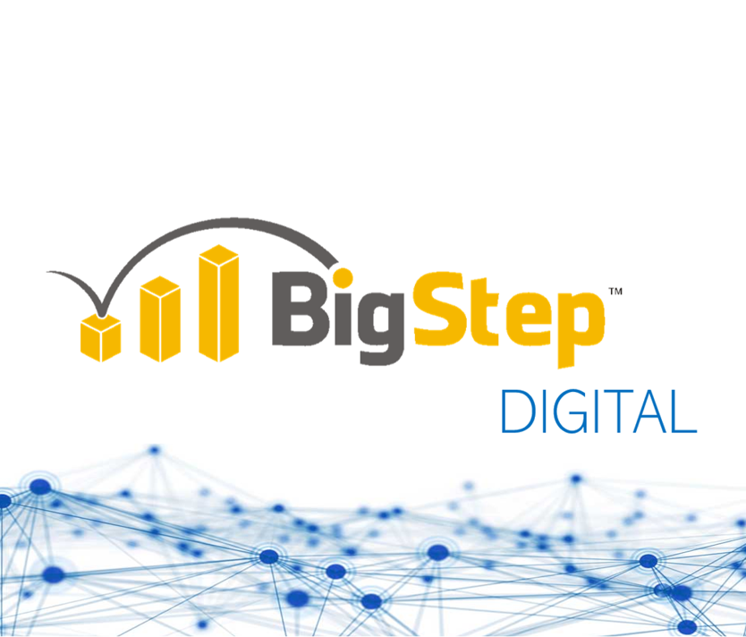 2-Tages-BigStep® Workshop 100% Online